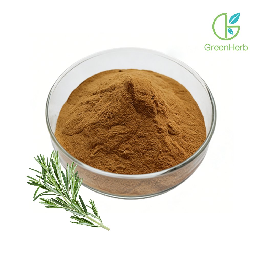 Rosemary Leaf Extract close-up texture detail, dried rosemary leaf extract powder macro photography