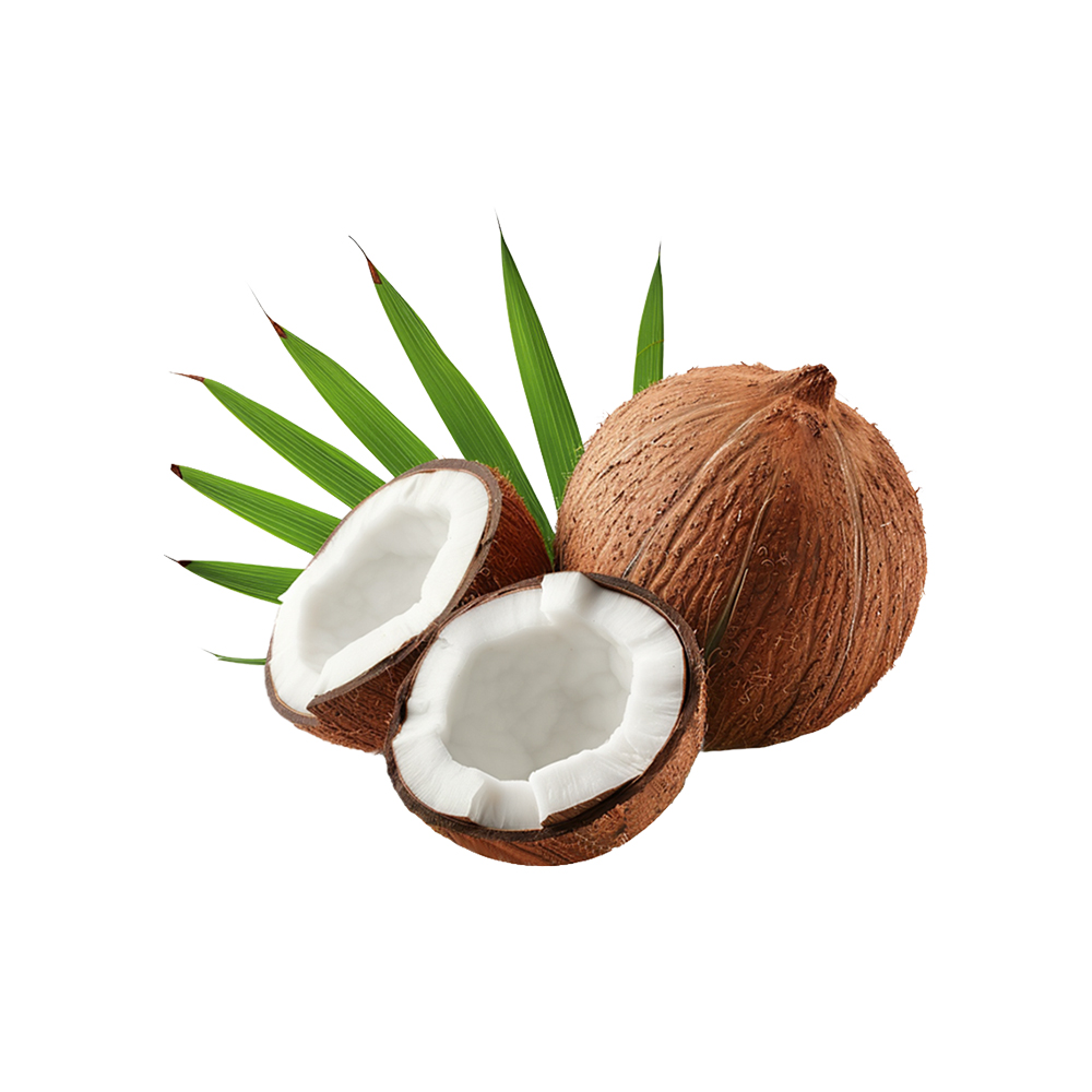 Fresh coconut milk powder macro photography