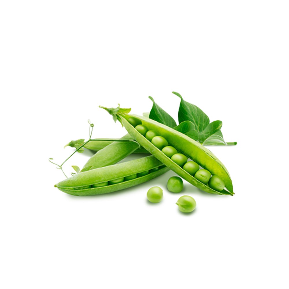 Plant-based isolated pea protein powder macro photography