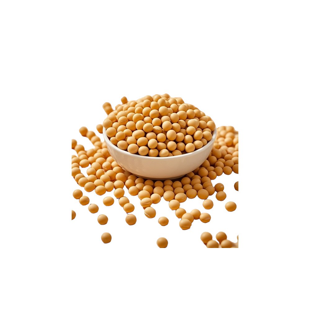 Plant‑derived pure soy protein powder macro photography