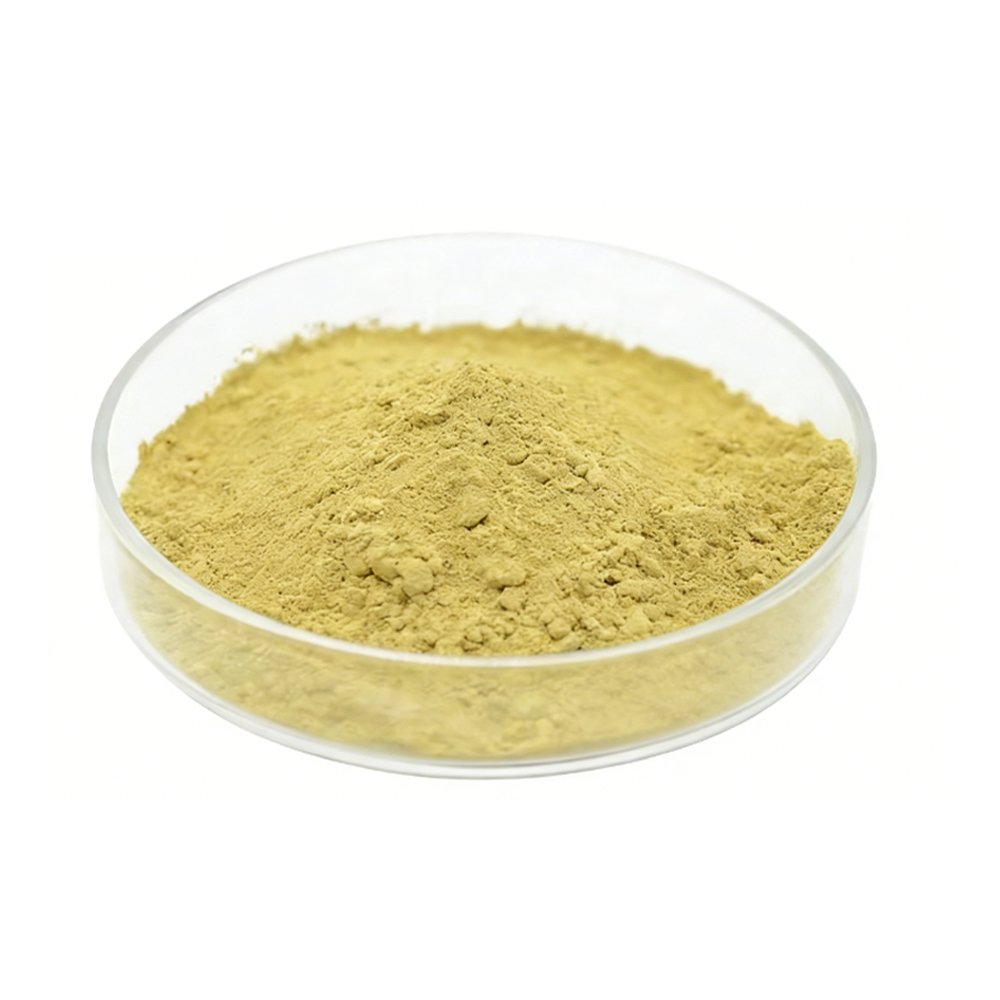 Fine yellow Cell Wall Broken Pine Pollen Powder detail