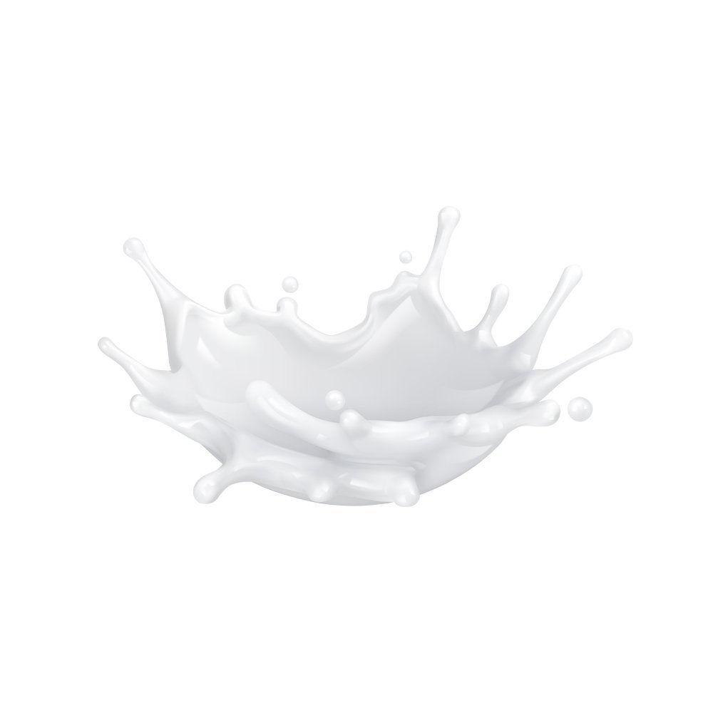 Isolated whey protein milk source derived powder macro photography