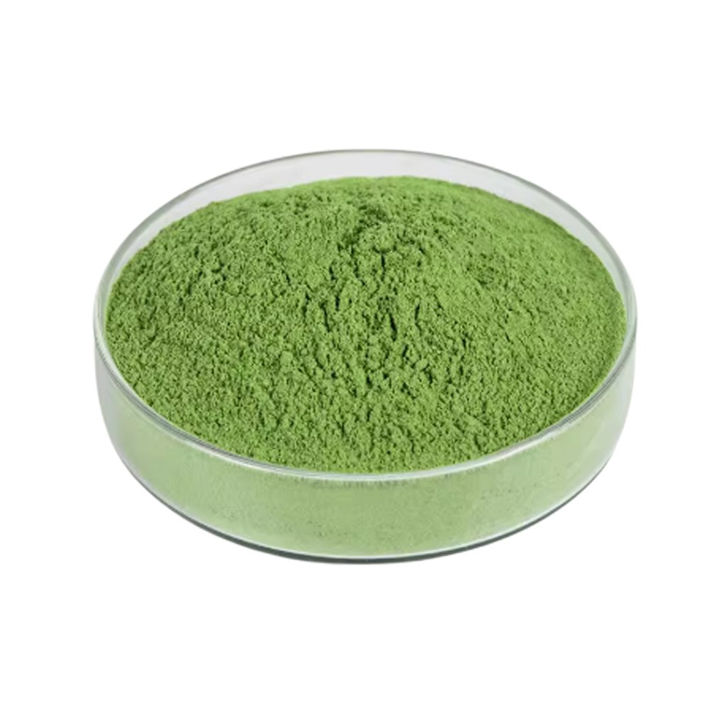 Greenish‑brown Alfalfa Leaf Extract fine powder detail