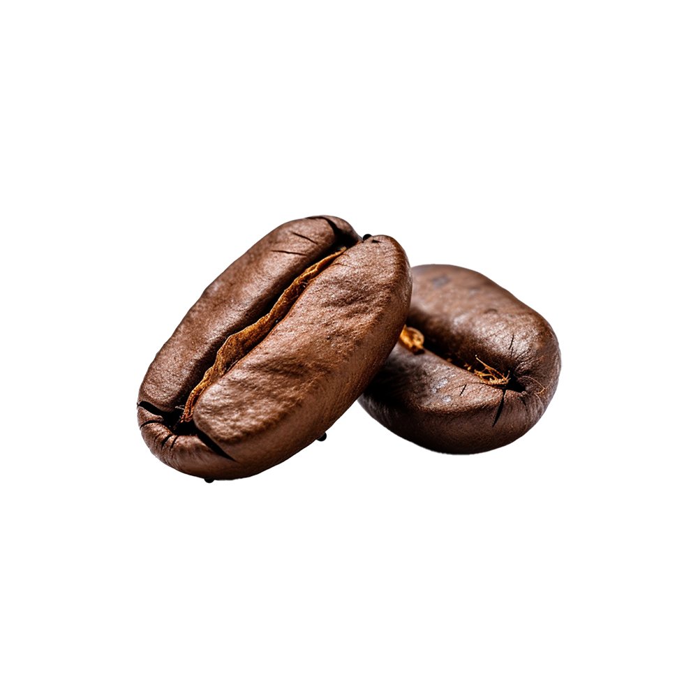 Theobroma cacao cocoa seed extract macro photography
