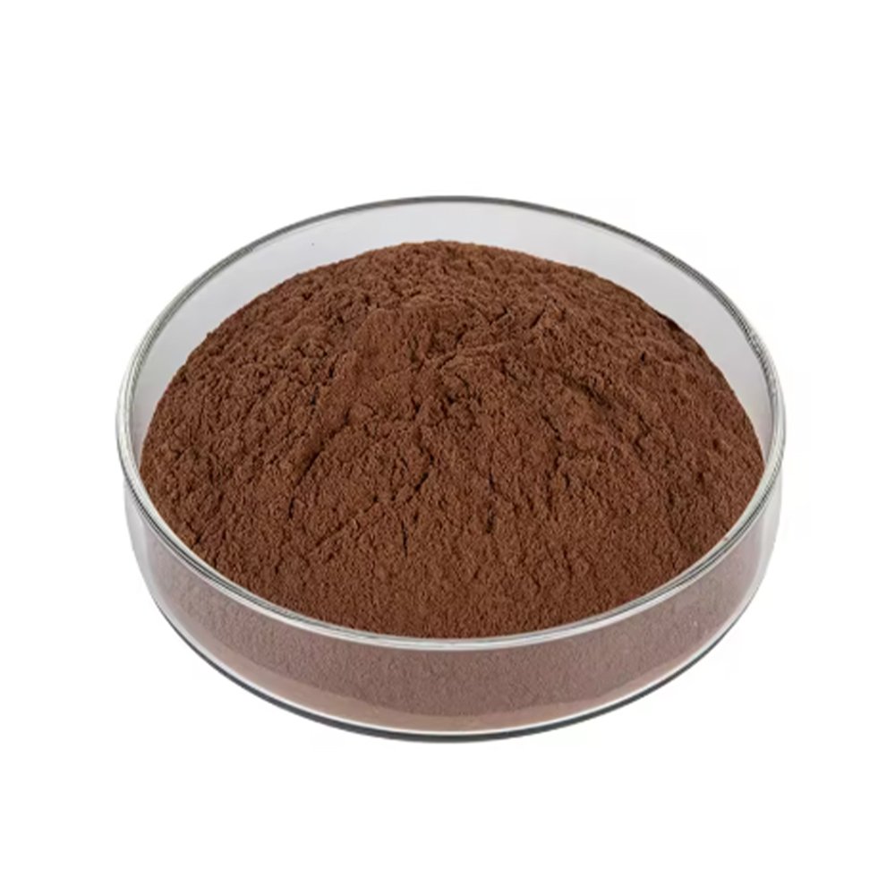 Brown Cocoa Seed Extract fine powder detail