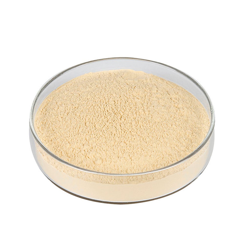 Light off‑white Wheat Protein Powder fine powder detail