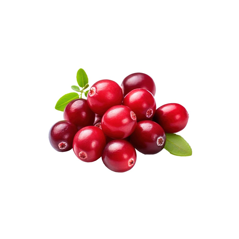 Vaccinium macrocarpon cranberry fruit extract macro photography