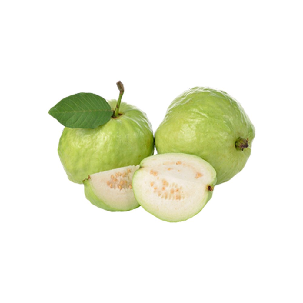 Psidium guajava fruit spray dried powder macro photography