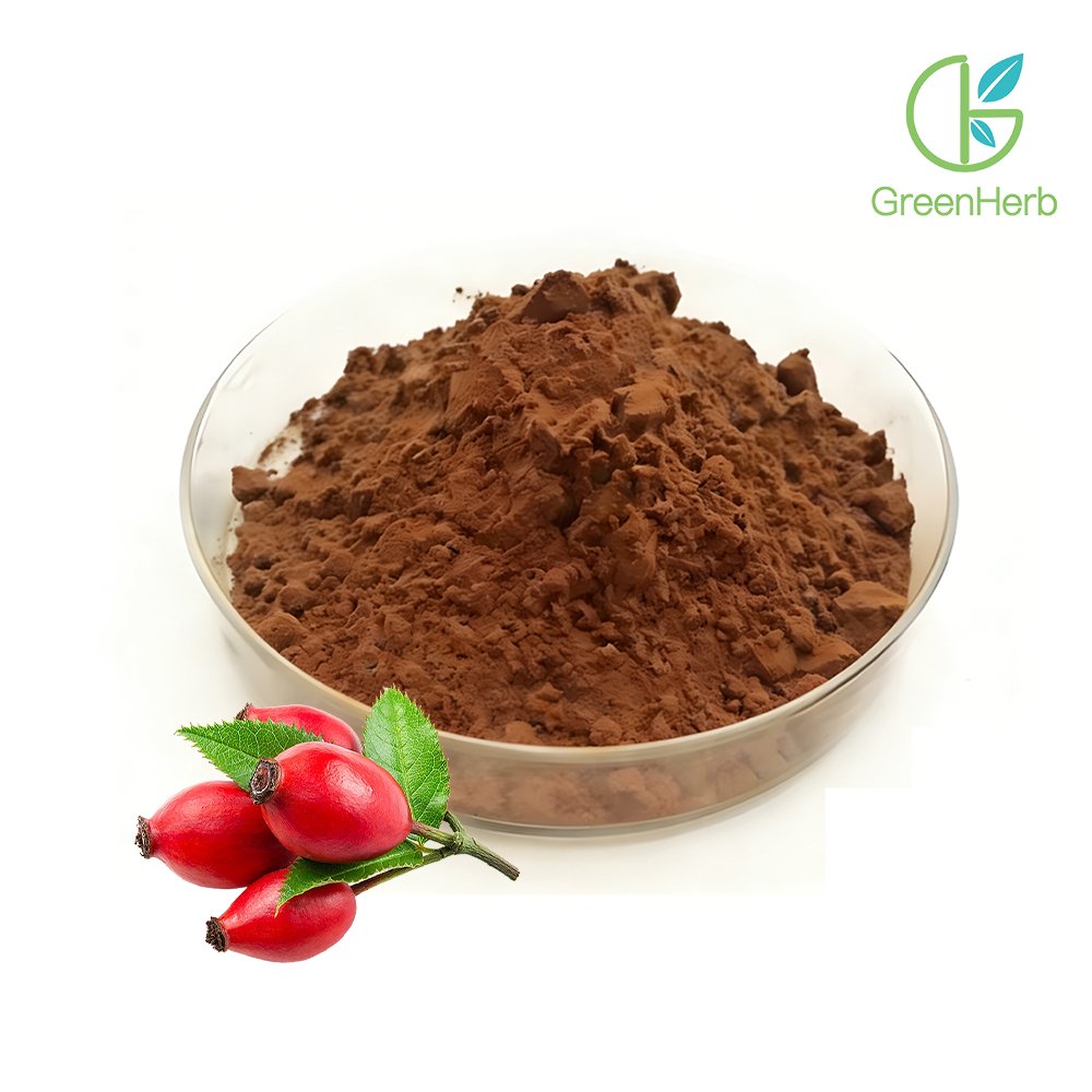 Fine Rosehip Fruit Powder powder detail