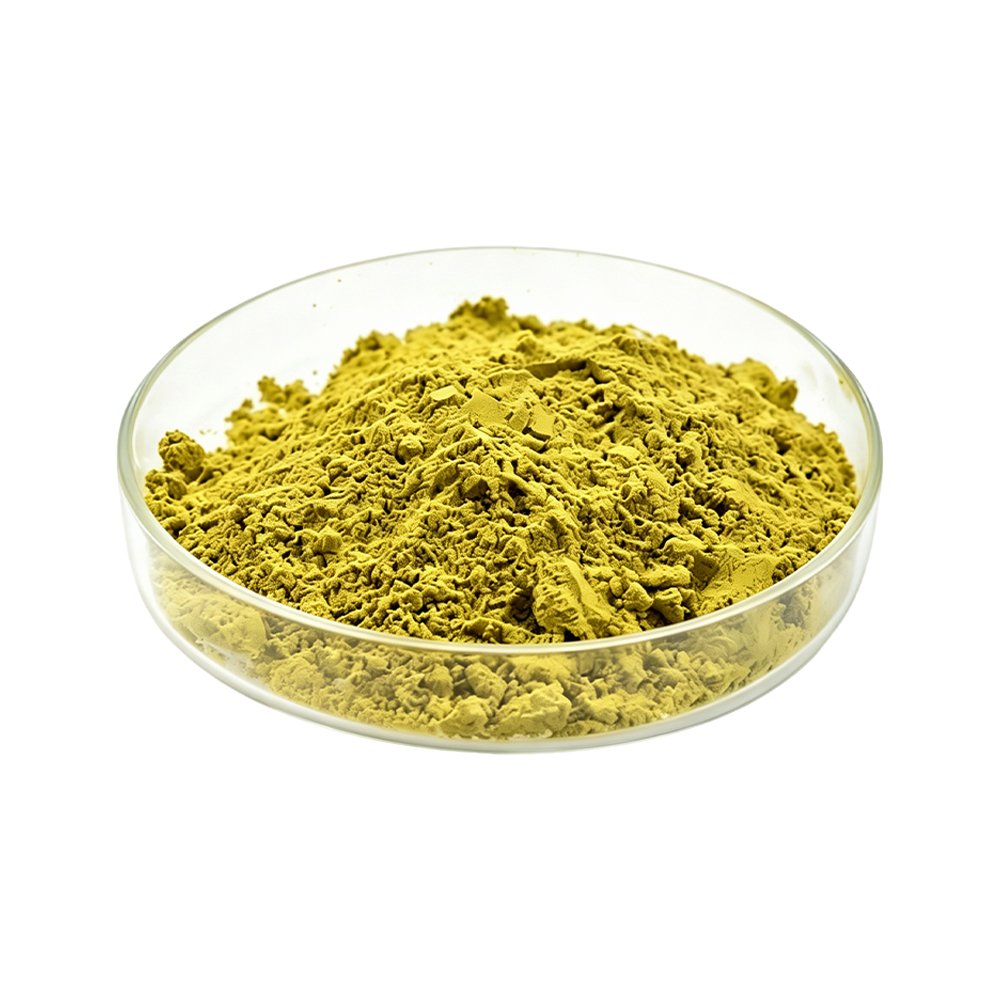 Raw sophora japonica bud material shot